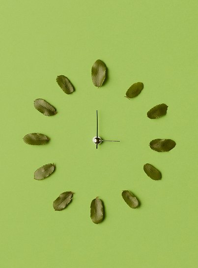 Timeless Logo Design Guides in the Age of AI - Lessons from the Masters