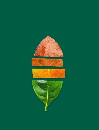 Logo Trends in 2025: What’s Changed, What’s Eternal